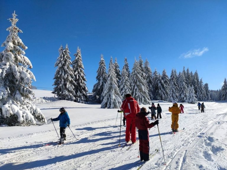 Cross-country skiing lesson among the snowy firs of the Retord plateau