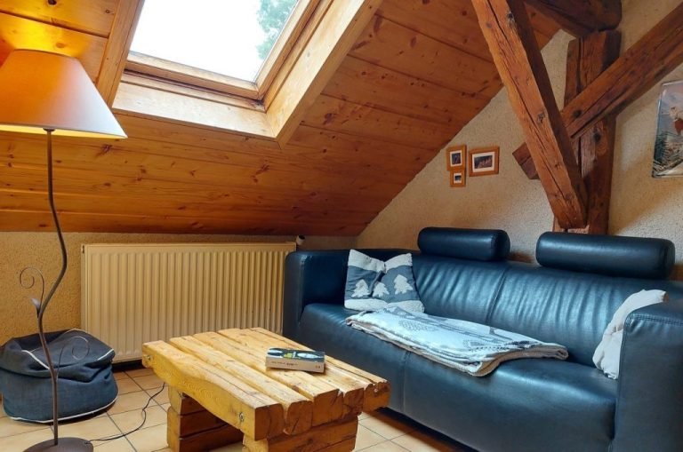 Sofa and roof window in the living room