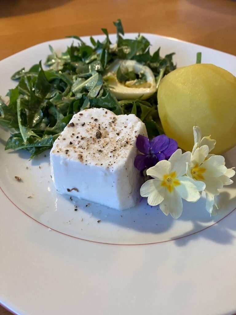 Fromage de chèvre frais, salade, œuf dur et fleurs comestibles, dans une assiette de l’auberge
