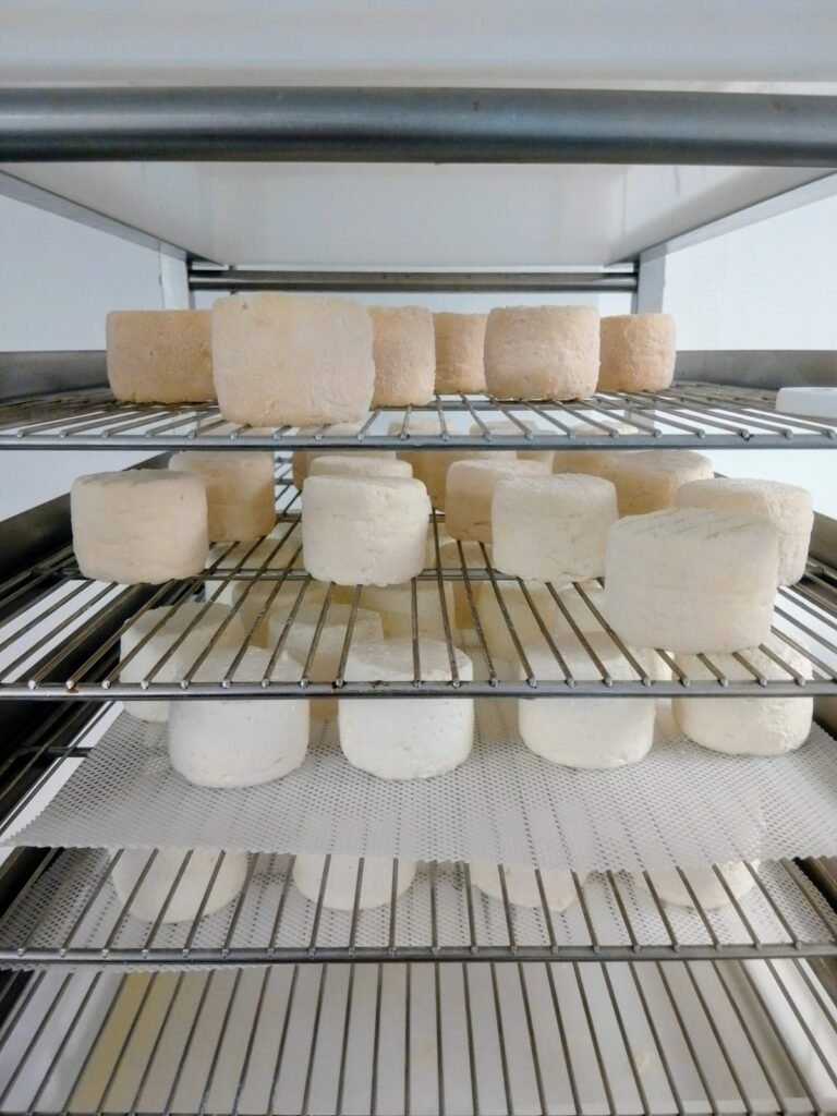 Fresh and semi-matured goat cheeses on the racks of the La Grange des Plans cheese dairy