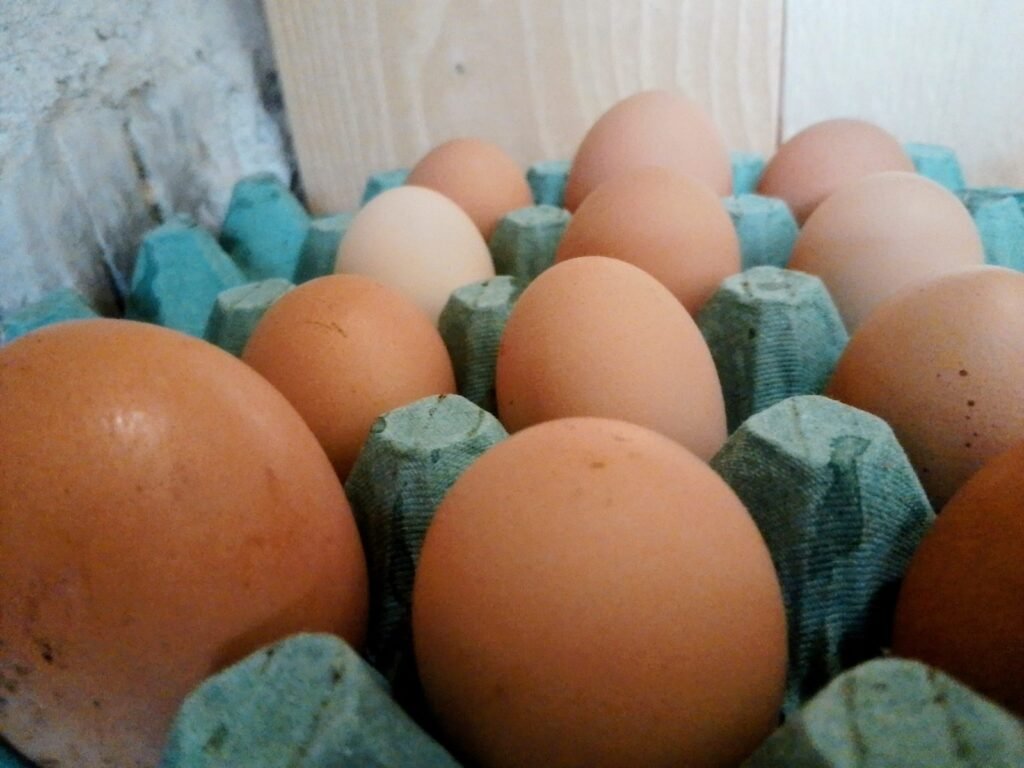 Eggs from the laying hens of La Grange des Plans in a box